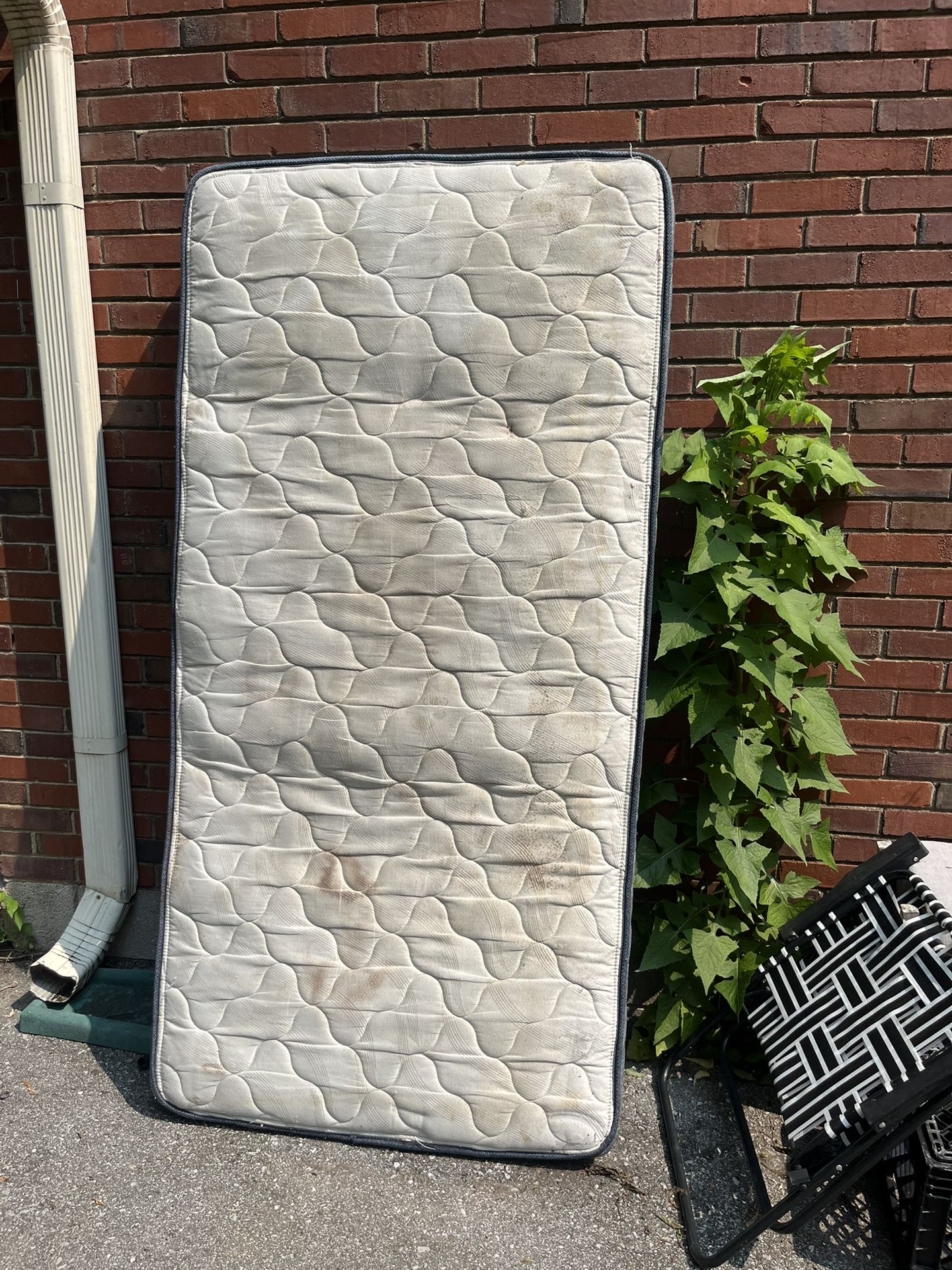 Twin Bed Mattress