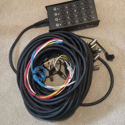 Live Wire 16 Channel Snake