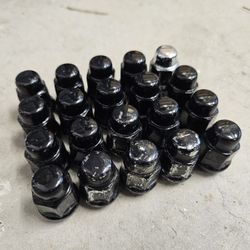 20 lug nuts 12x1.25