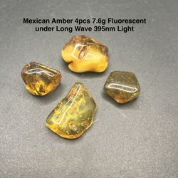 Mexican Genuine Amber 4pcs 7.6g Total HIGHLY FLUORESCENT