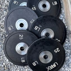 Bumper Weights 