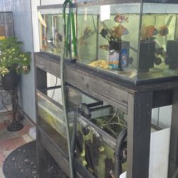 10 Gallon Aquarium 4x