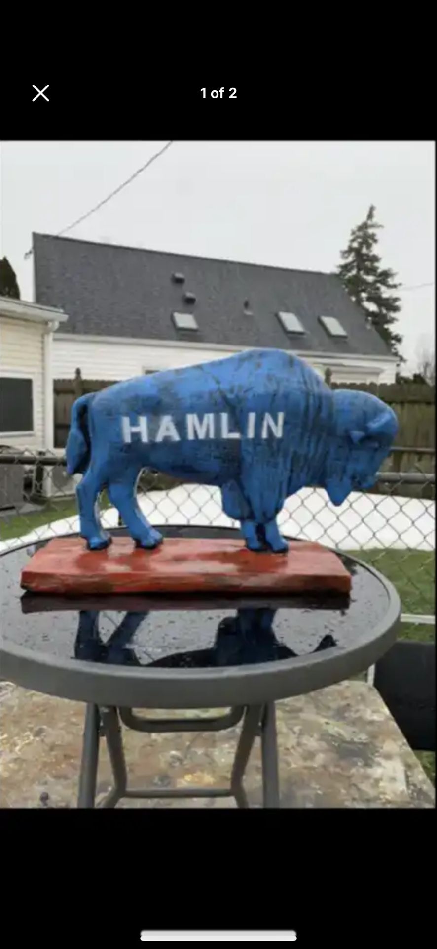 The Hamlin Buffalo
