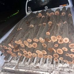 Almond Fire 🔥 Wood 🪵 100$