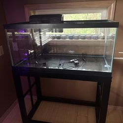 40 gallon Fish Tank