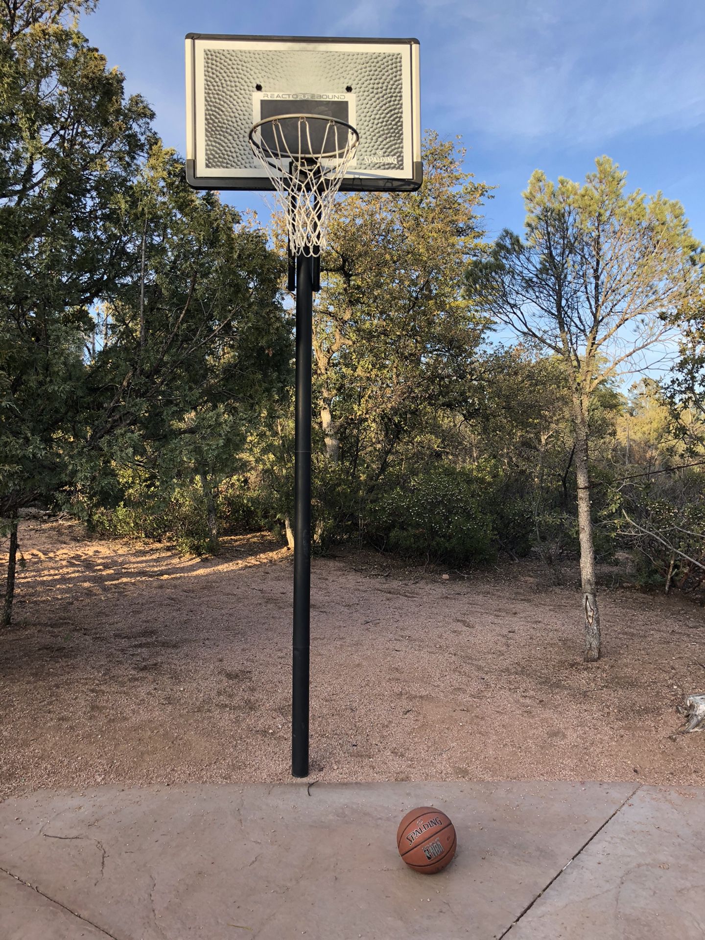 Basketball hoop and basketball