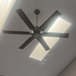 fan 