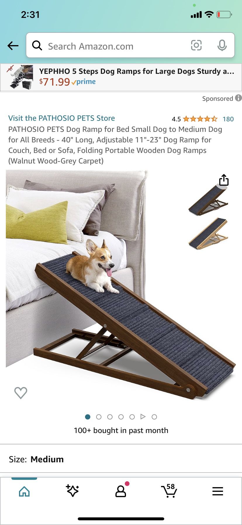 PATHOSIO PETS Dog Ramp for Bed