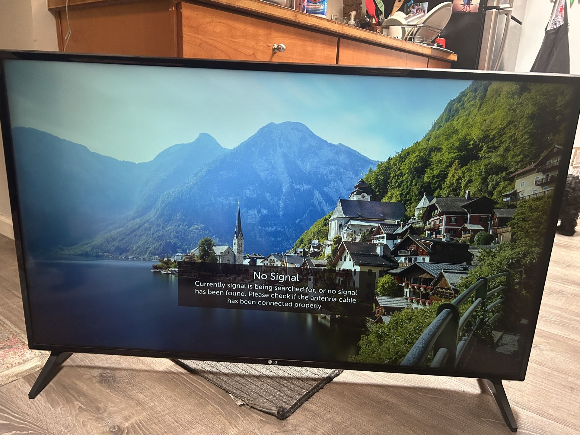 LG Smart TV 48.5”