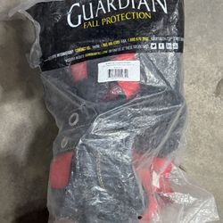 Harness 