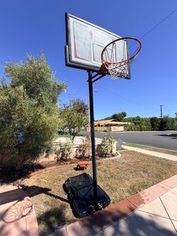 Free Basketball Hoop - Lifetime brand