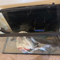 Full Aquarium Setup