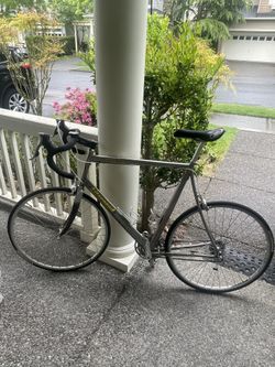 Litespeed bike Titanium Ultimate
