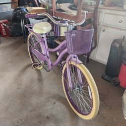 Purple Bike