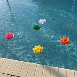 Pool Decor 