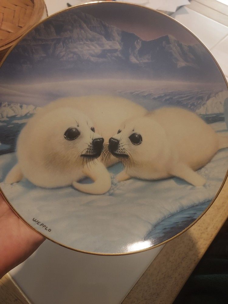 Fine Porcelian Weplo Plates