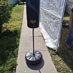 Kids Everlast Free Standing Punching Bag