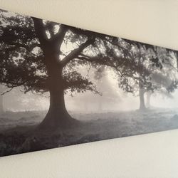 BW Forest Canvas Print