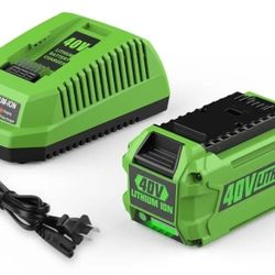 BATERIA Y CARGADOR GREENWORKS/BATTERY  AND CHARGER  GREENWORKS 