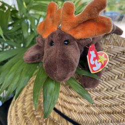 TY Beanie Baby Chocolate the Moose