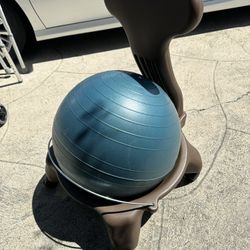 Balance Ball Chair