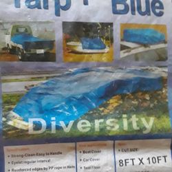 TARP _Diversity