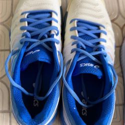 Women’s ASICS Shoes 8.5m