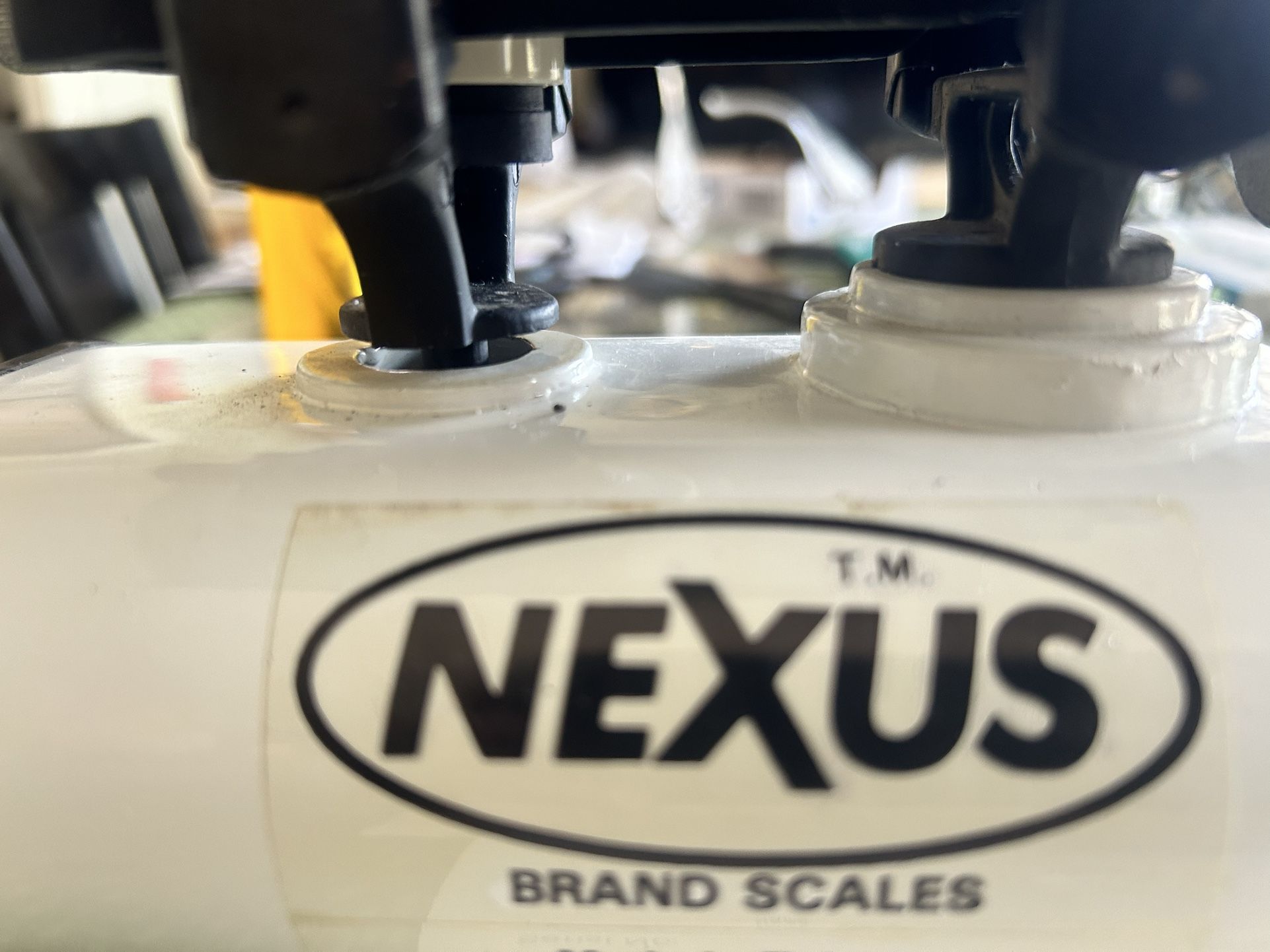 FREEE Nexus Profesional Scale