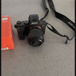 Sony  A7ii camera + stand 