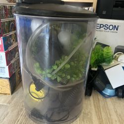 Aquarium - 3 Gallon
