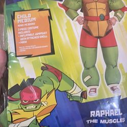 Teenage Mutant Turtles Costume