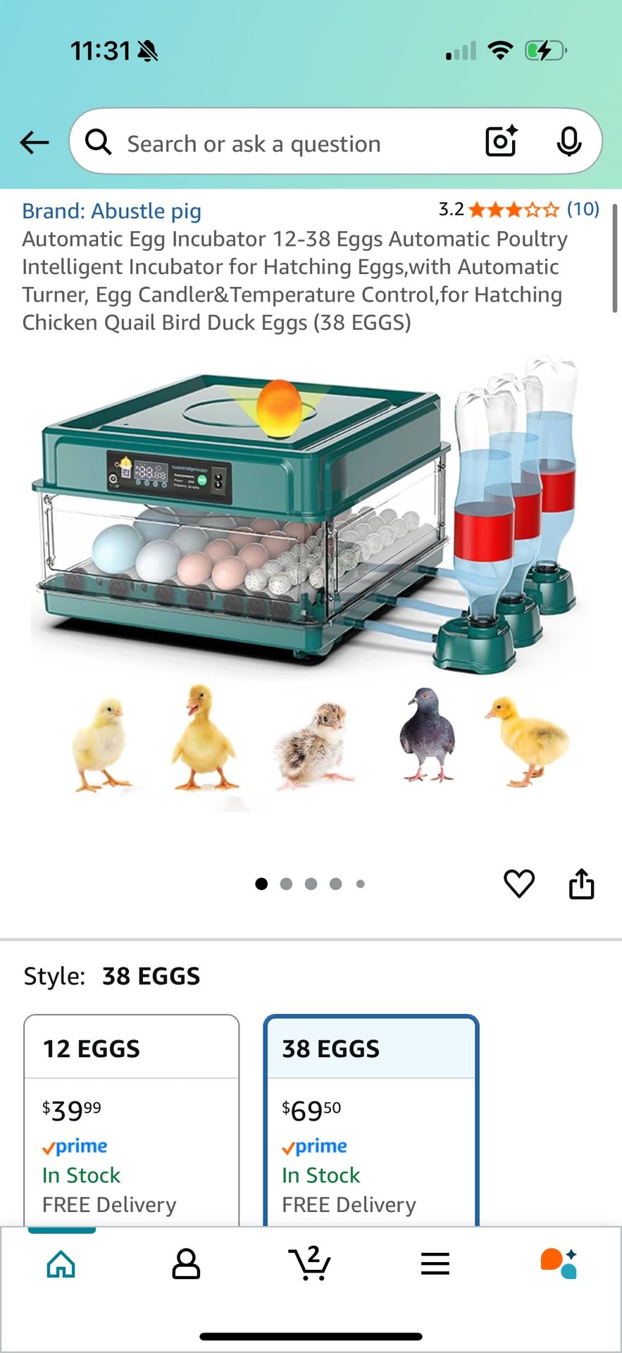 egg incubator