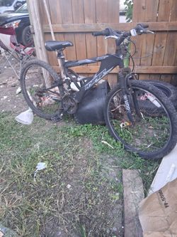 Bicycle