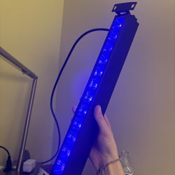 Wall Mount Black Light 