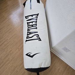 Everlast Punching Bag