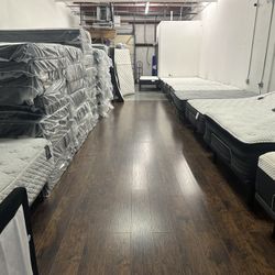 Need Mattresses Gone Today!