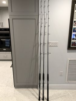 3 Billfisher Spinning Rods