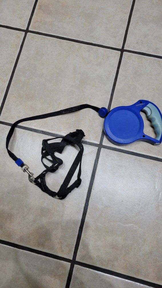 Petmate Walkabout Retractable Dog Leash, large.