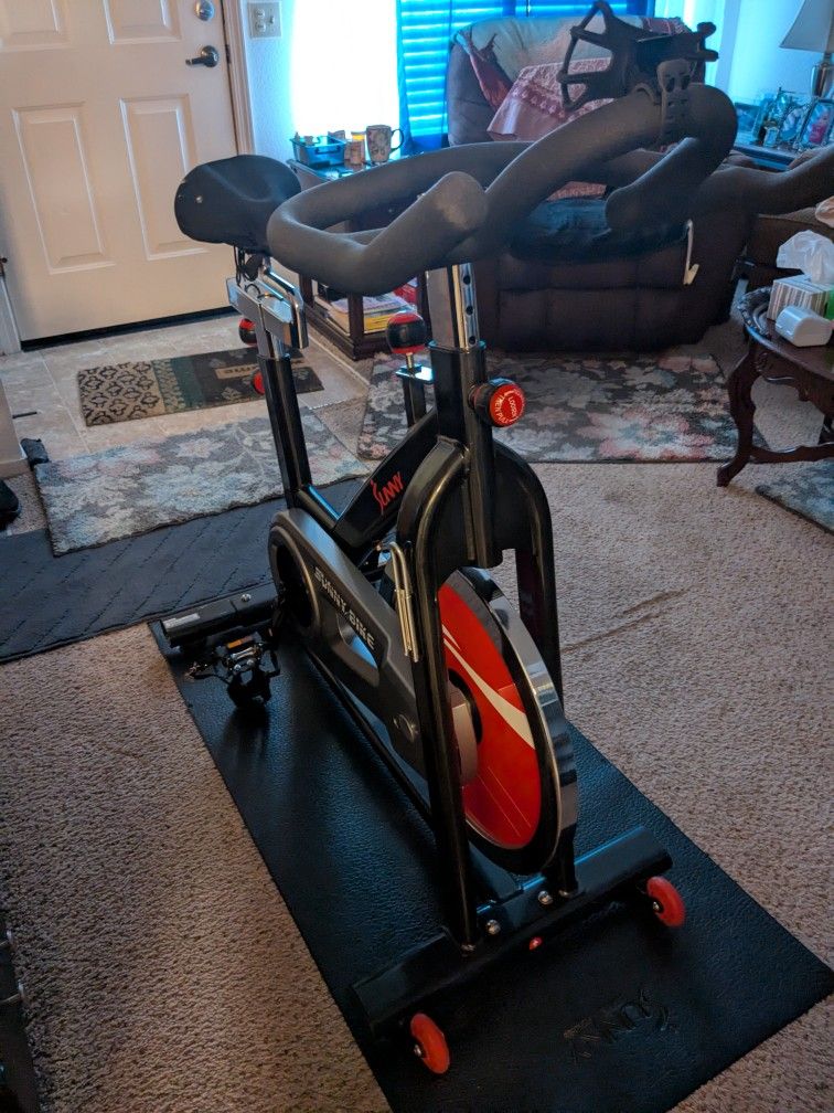 Sunny Exercise Bike