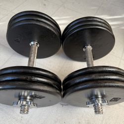 65 Lb Adjustable Dumbbell Set 