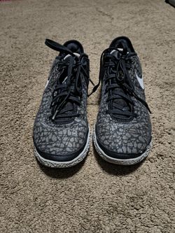 Nike Zoom LeBron NXXT Gen Wolf Gray/Black Men Good Condition Size 11