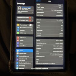 iPad Air and Apple Watch 