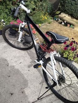 Custom Mountain Bike 21 Speed 26" Tires