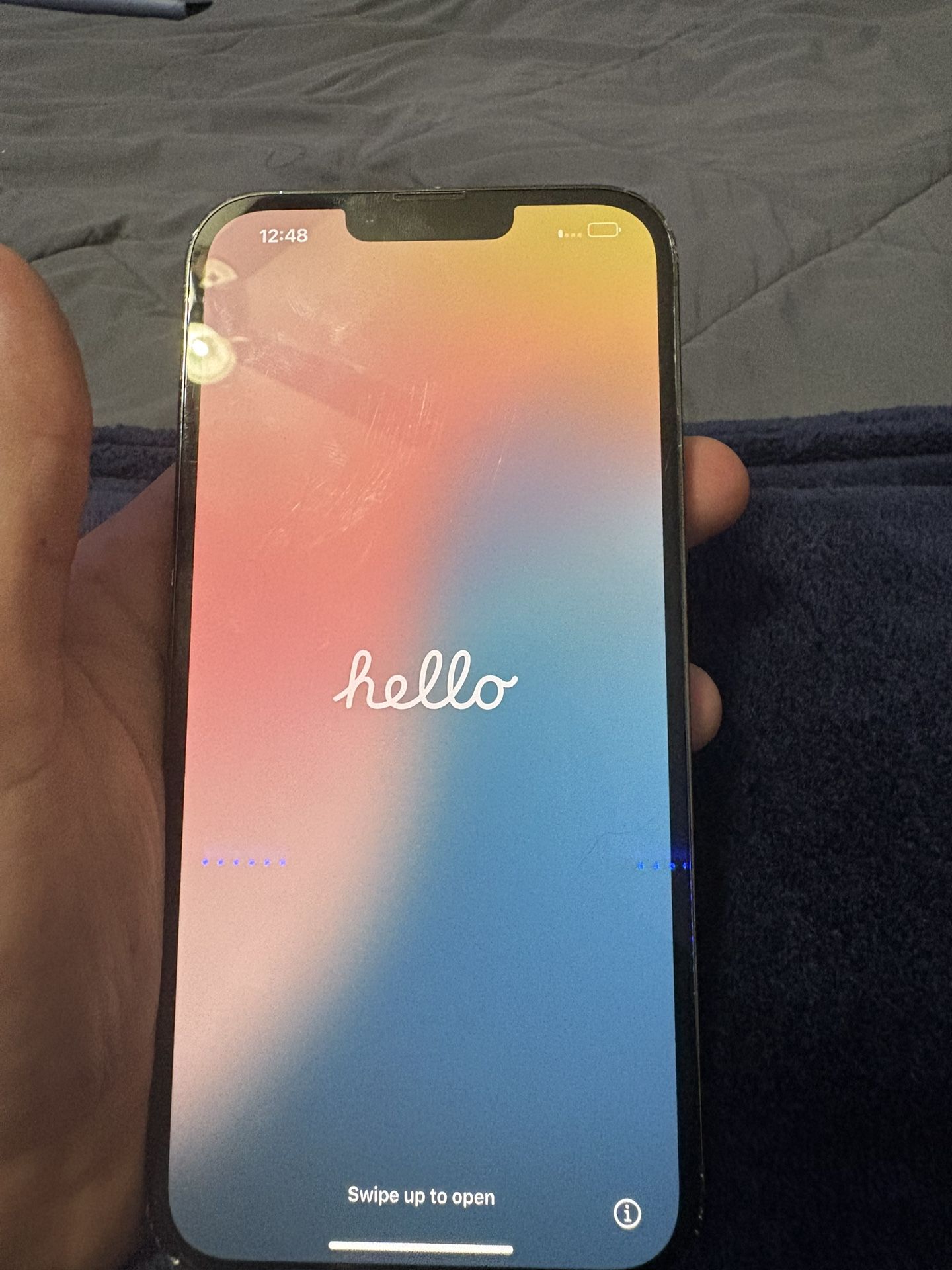iPhone 13 Pro Max