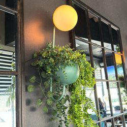 Wall Lamp With Flower Pot 