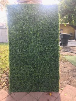 Grass Backdrop