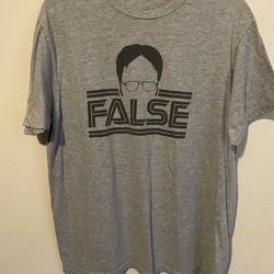 THE OFFICE Dwight Schrute FALSE T Shirt - Mens Size L - Short Sleeve Gray LARGE