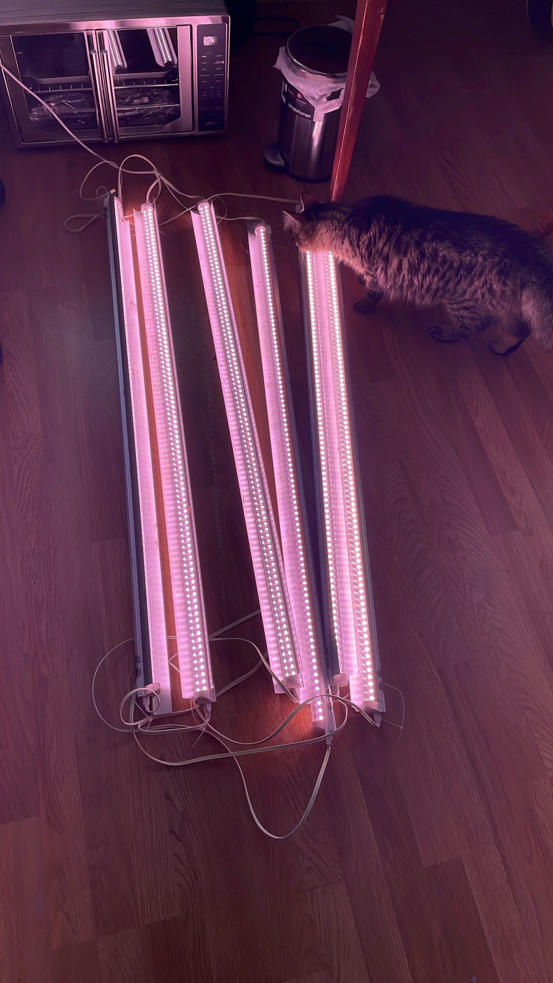 Grow Lights