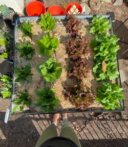 Super Soil, Potting Soil,  Soil Mix