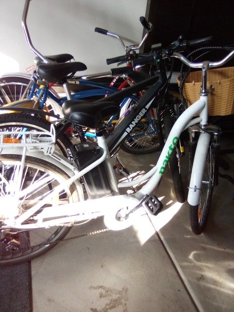 Electronic Bike